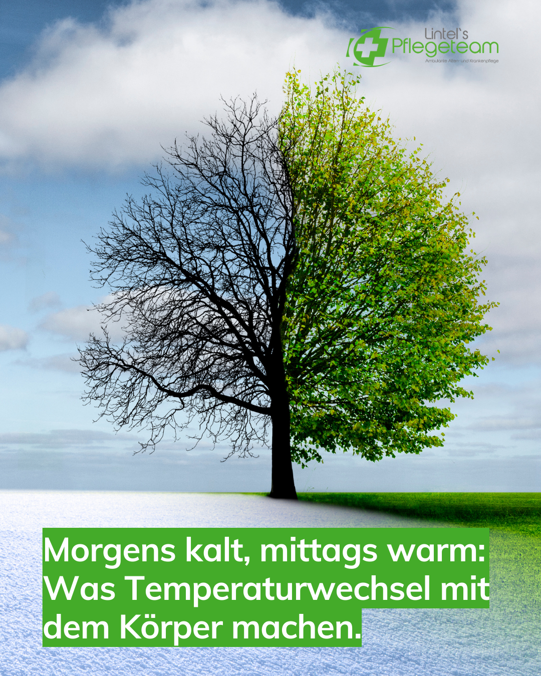 Auf dem Bild sieht man einen Baum in zwei unterschiedlichen Jahreszeiten, symbolisch für Morgens kalt, mittags warm: Was Temperaturwechsel mit dem Körper machen.
